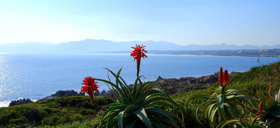 Nestled between Mountain and Sea, lies a Hidden Natural Haven